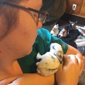 Meet your Posher, Elizabeth